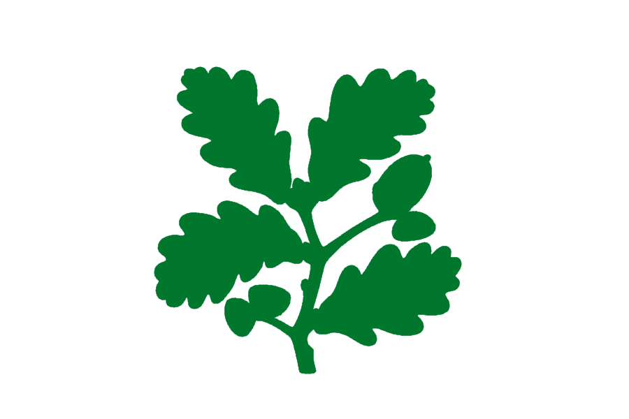 National Trust | Celebrating the past