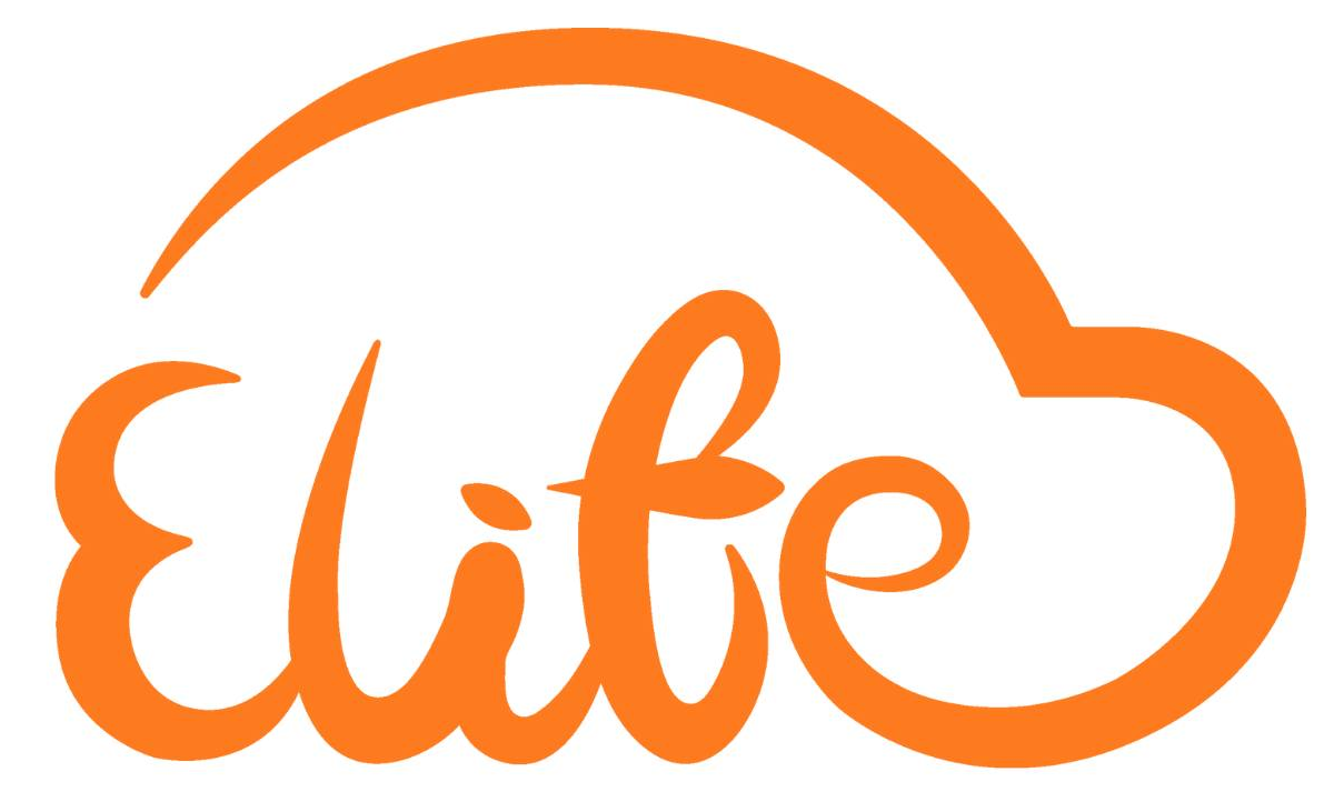 Global Private Driver Transportation Service | elifelimo Transportation